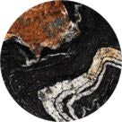 Orinoco detalle ci╠ürculo Orinoco detalle ci╠ürculo