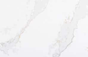 Image number 47 of the current section of Silestone: The Brand in Cosentino Australia