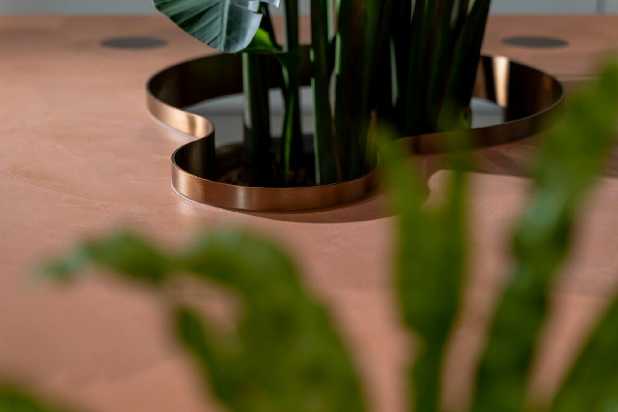 Image number 38 of the current section of A table reminiscent of a garden in Cosentino Australia