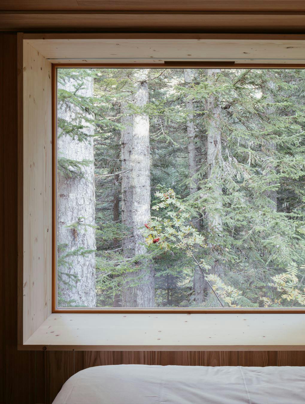 Image number 47 of the current section of Perched Huts in Cosentino Canada