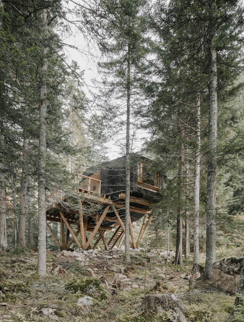 Image number 35 of the current section of Perched Huts in Cosentino Canada