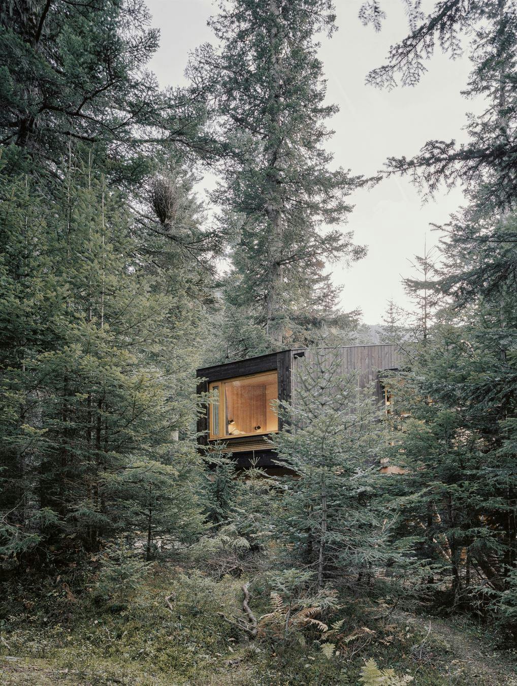 Image number 37 of the current section of Perched Huts in Cosentino Canada