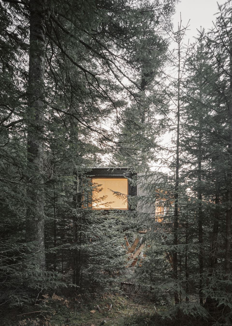 Image number 36 of the current section of Perched Huts in Cosentino Canada