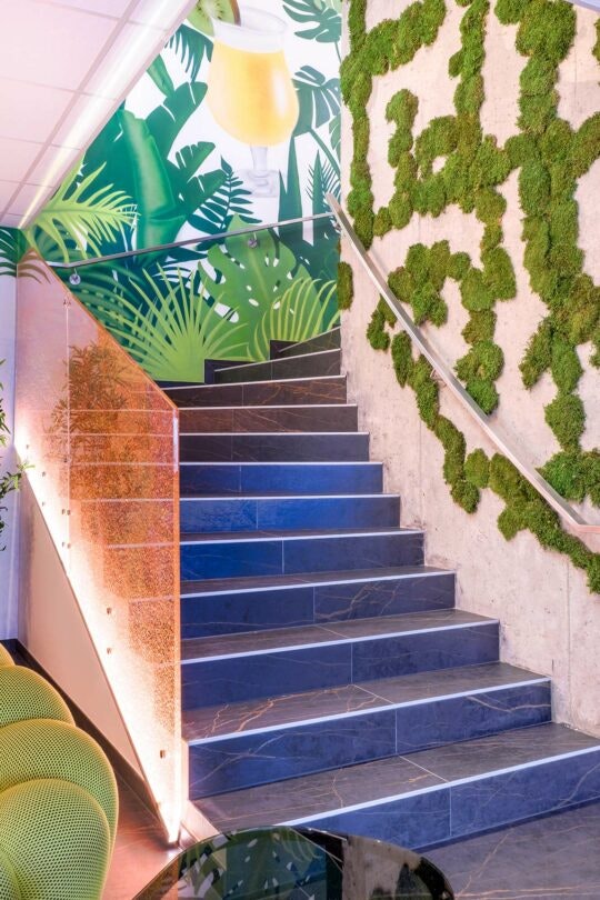 Coktalis-2 Coktalis-2