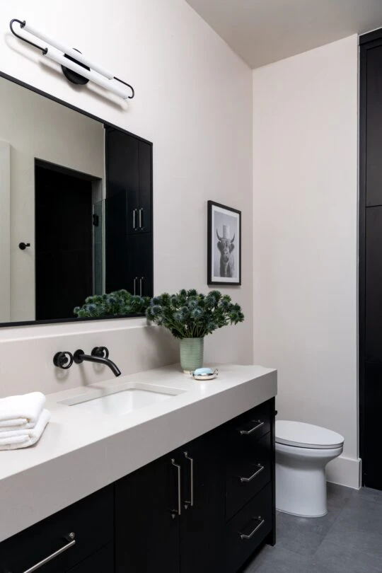 Carroll by Anita Hubbard (13) Carroll by Anita Hubbard (13)