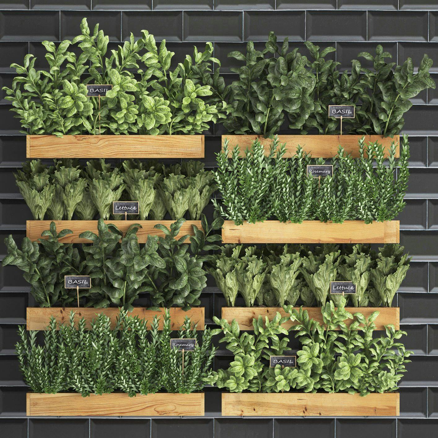 Image number 32 of the current section of How to Set Up a Vertical Garden in Your Kitchen in Cosentino UK