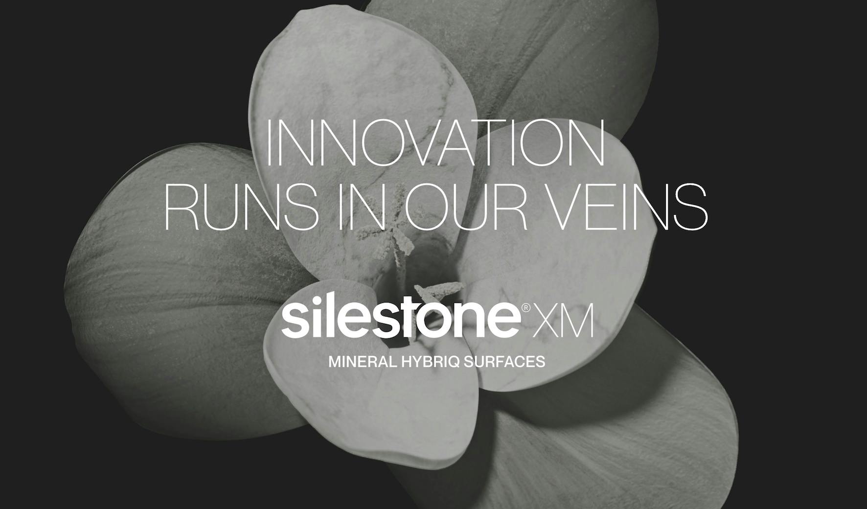 Image of silestone xm front 1.jpg?auto=format%2Ccompress&ixlib=php 3.3 in Cosentino Introduces Silestone®XM, the new generation of mineral surfaces - Cosentino