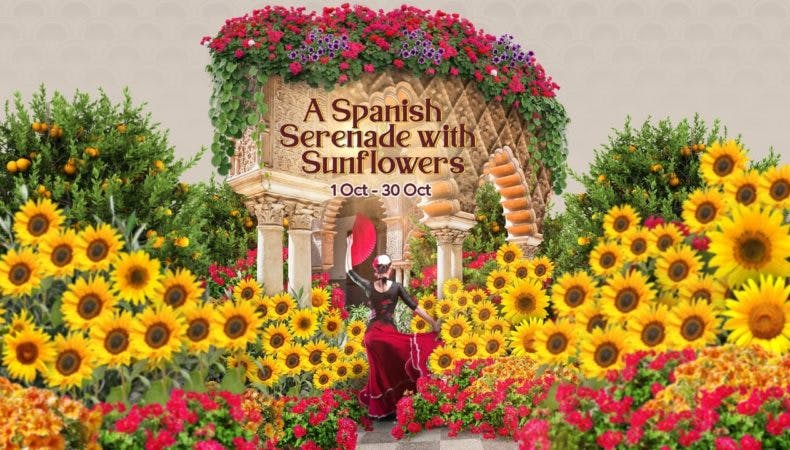 A Spanish Serenade with Sunflowers