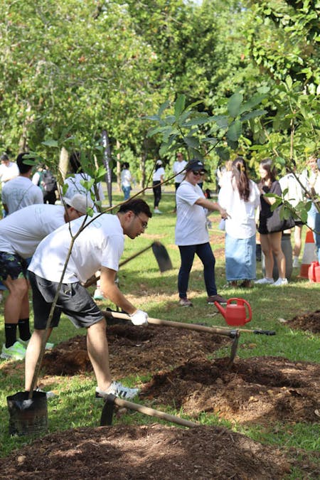 IMG_4998 Image 35 of IMG 4998.jpg?auto=format%2Ccompress&fit=crop&ixlib=php 3.3 in Sowing Seeds of Change: Community Tree Plantation Initiative with Cosentino - Cosentino