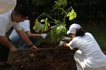 IMG_5049 Image 38 of IMG 5049 2.jpg?auto=format%2Ccompress&fit=crop&ixlib=php 3.3 in Sowing Seeds of Change: Community Tree Plantation Initiative with Cosentino - Cosentino