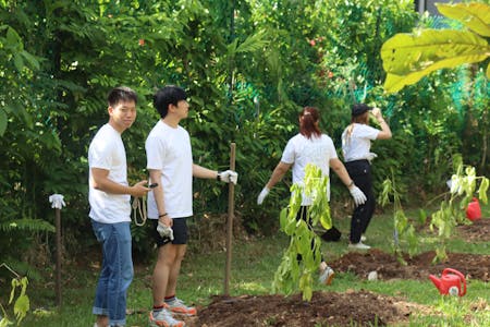 IMG_5050 Image 46 of IMG 5050 2.jpg?auto=format%2Ccompress&fit=crop&ixlib=php 3.3 in Sowing Seeds of Change: Community Tree Plantation Initiative with Cosentino - Cosentino