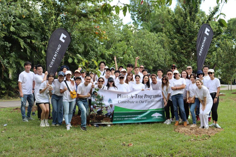 IMG_5082 Image 37 of IMG 5082.jpg?auto=format%2Ccompress&ixlib=php 3.3 in Sowing Seeds of Change: Community Tree Plantation Initiative with Cosentino - Cosentino