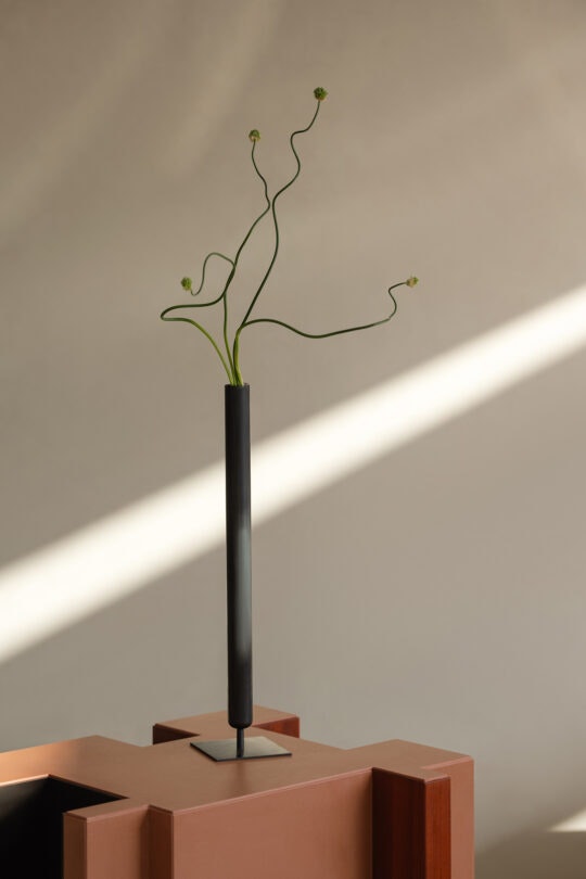 CosentinoCapsuleCollection2024_NateleeCocks_022 CosentinoCapsuleCollection2024_NateleeCocks_022