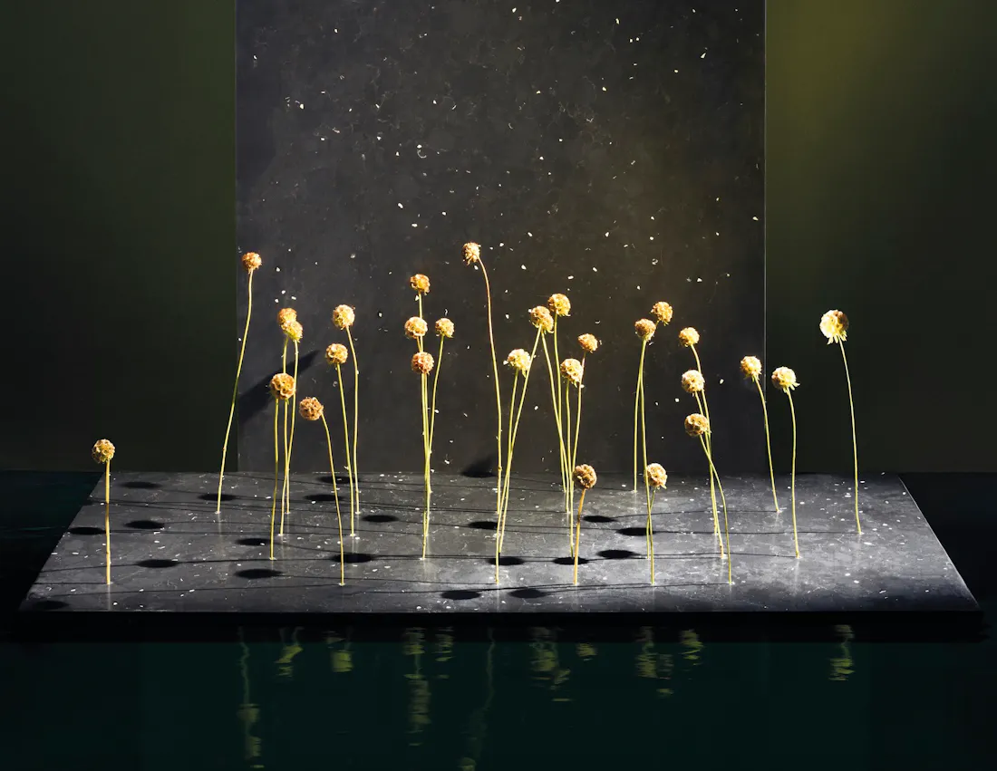 Trend_Report_Natura Image 35 of Trend Report Natura.jpg?auto=format%2Ccompress&fit=crop&ixlib=php 3.3 in Estas son las 5 paletas de colores que marcarán tendencia en los próximos años entre diseñadores - Cosentino