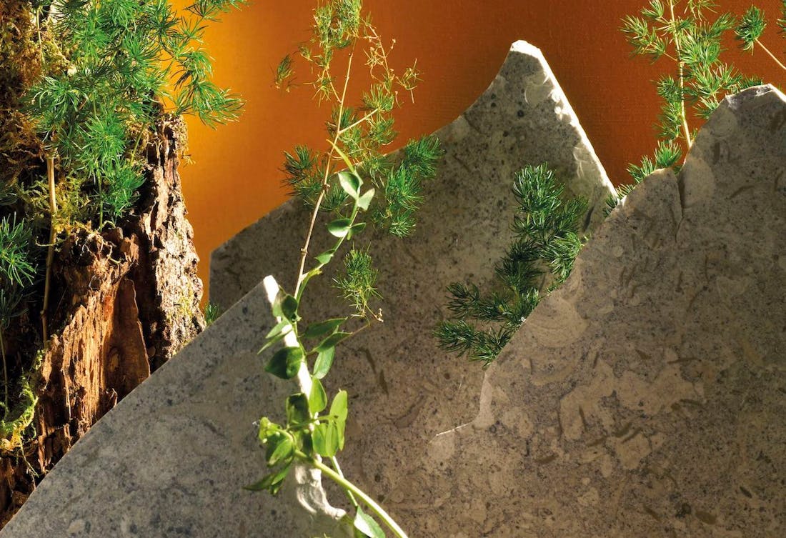 06_Trend_Report_Natura2 Image 34 of 06 Trend Report Natura2.jpg?auto=format%2Ccompress&fit=crop&ixlib=php 3.3 in La paleta de colores ideal para un diseño que evoca naturaleza - Cosentino