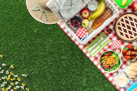 Image 36 of picnic.ok 1.jpg?auto=format%2Ccompress&fit=crop&ixlib=php 3.3 in We must change the way we relate to food - Cosentino