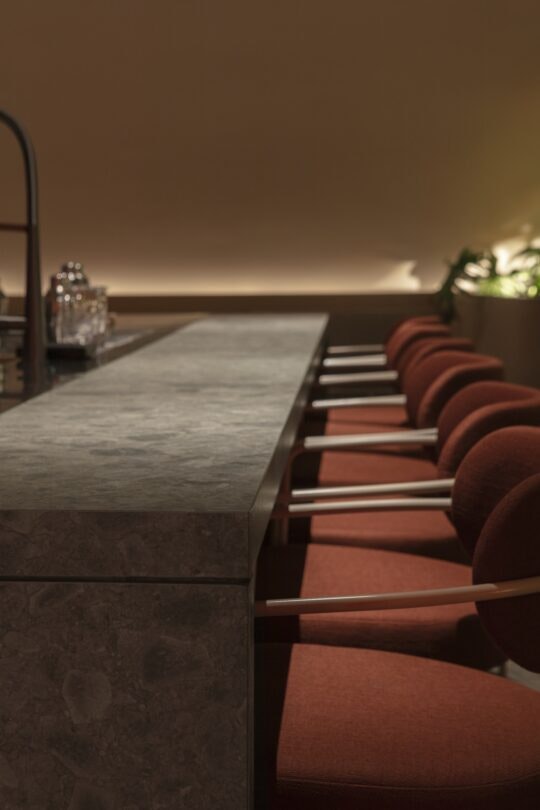 Bar lady bee (14) Bar lady bee (14)