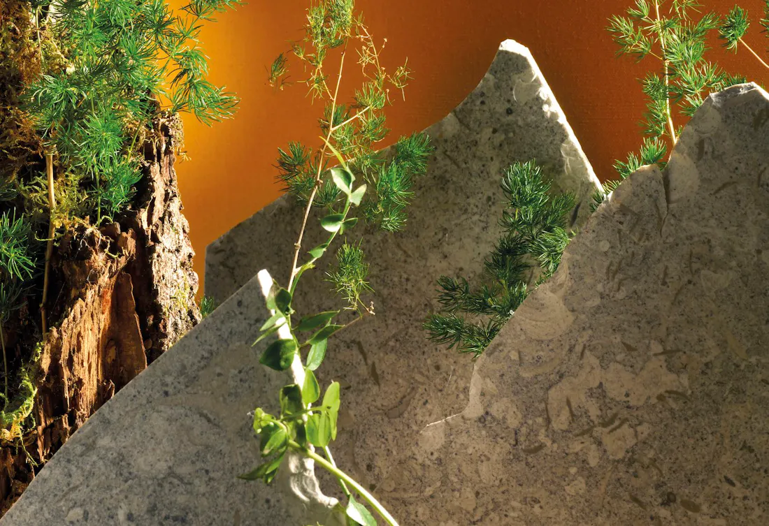 Trend_Report_Natura2