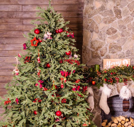Numero immagine 35 della sezione corrente di Le idee decorative natalizie più estrose per la tua cucina di Cosentino Italia