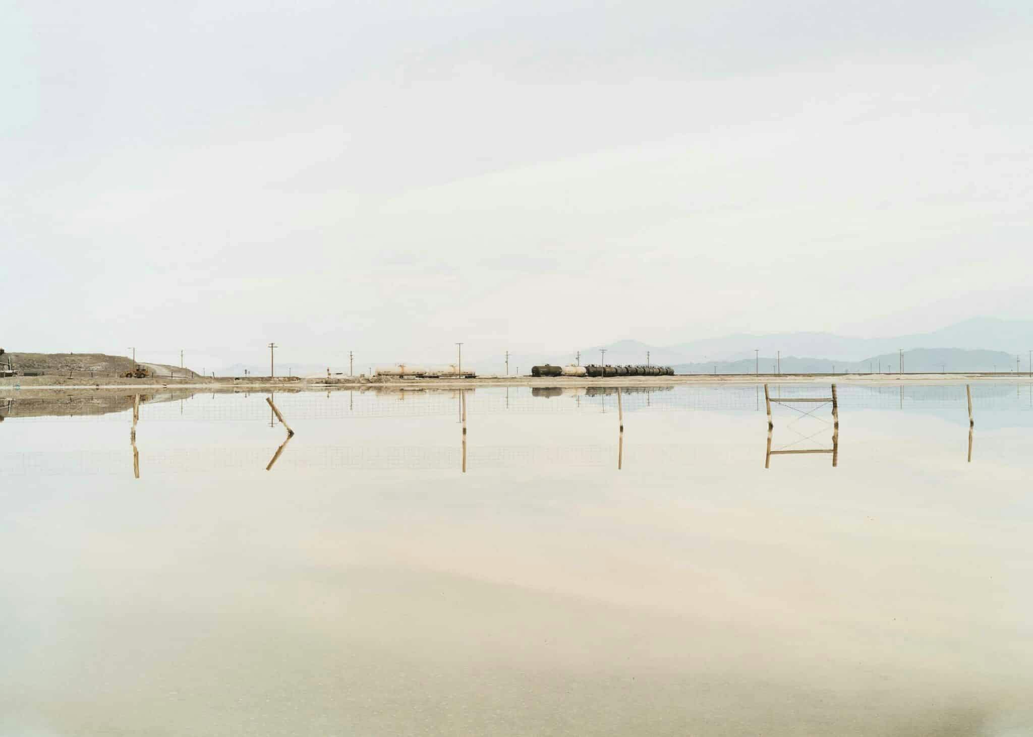 Taxonomy of a Landscape - Cosentino Italia