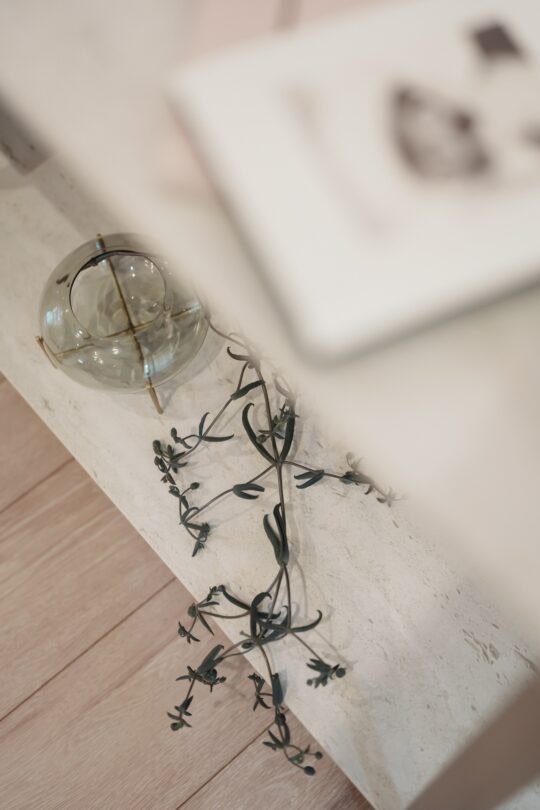 Motet-Mina-12 Motet-Mina-12