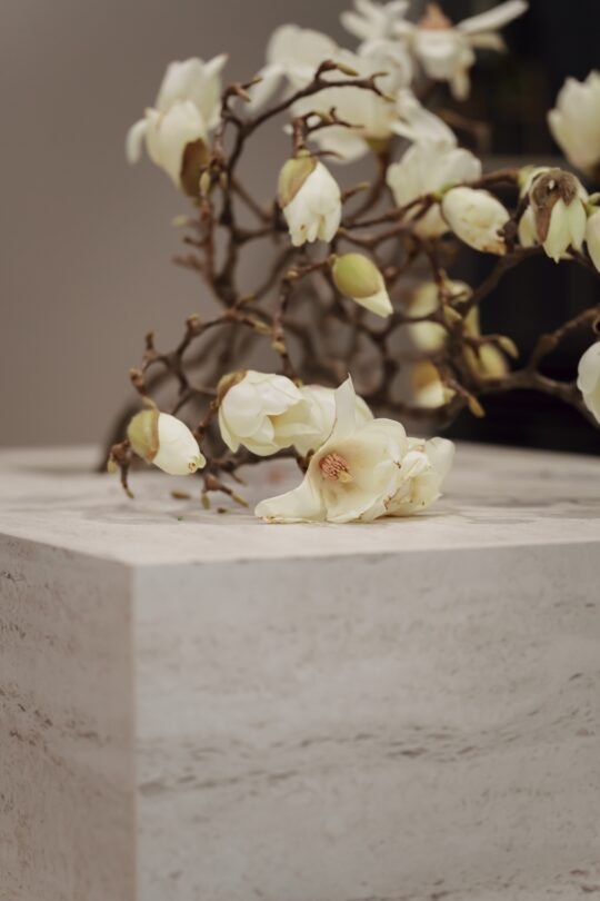 Motet-Mina-15 Motet-Mina-15