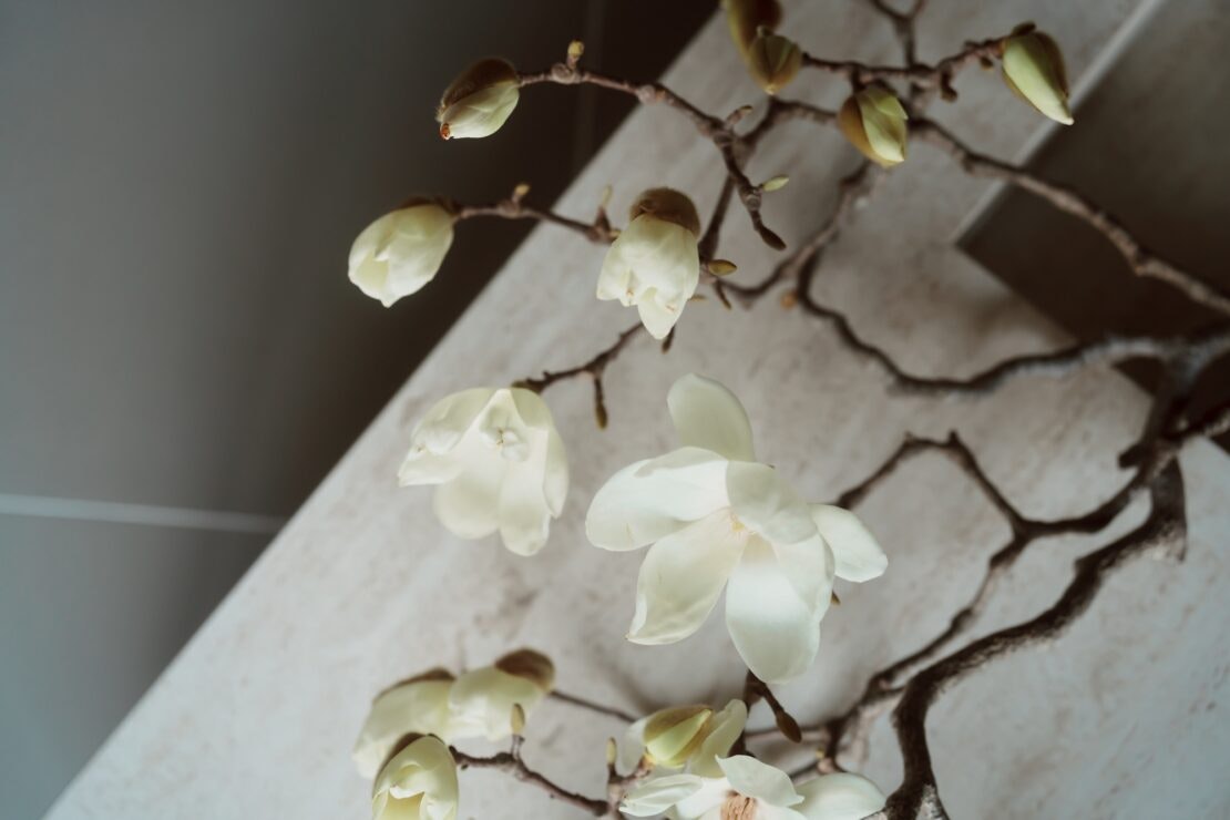 Motet-Mina-5 Motet-Mina-5