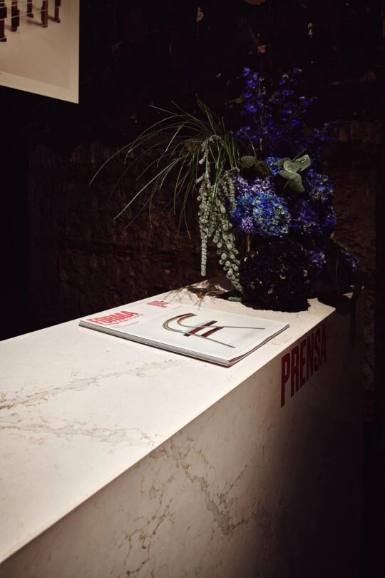 forma_cosentino26_006_CRS_3088 forma_cosentino26_006_CRS_3088