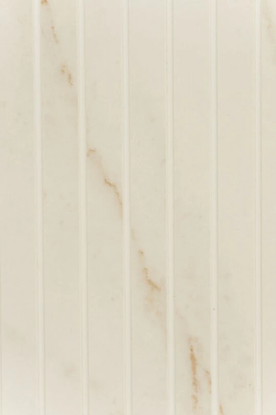 Profit Gym (13) Profit Gym (13)