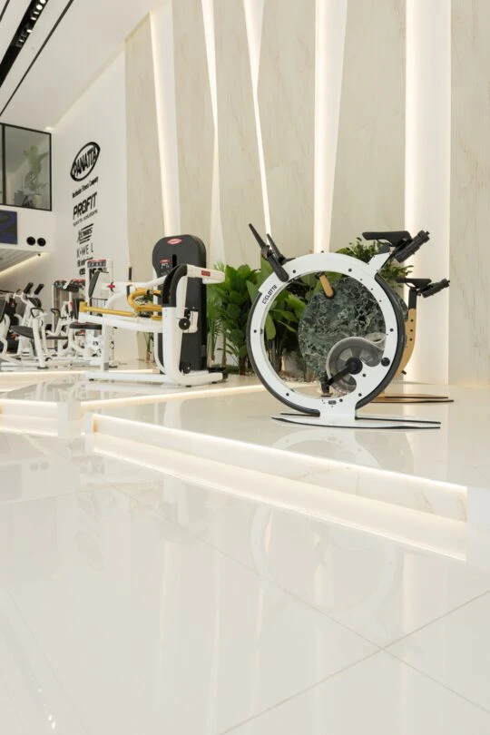 Profit Gym (7) Profit Gym (7)