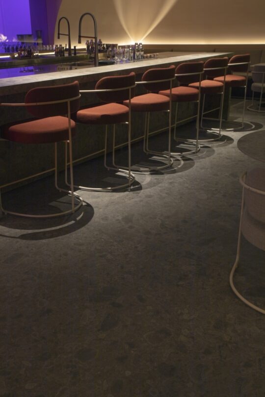 Bar lady bee (18) Bar lady bee (18)