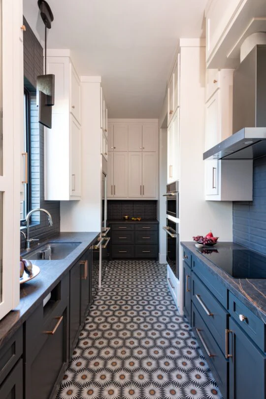 Carroll by Anita Hubbard (7) Carroll by Anita Hubbard (7)