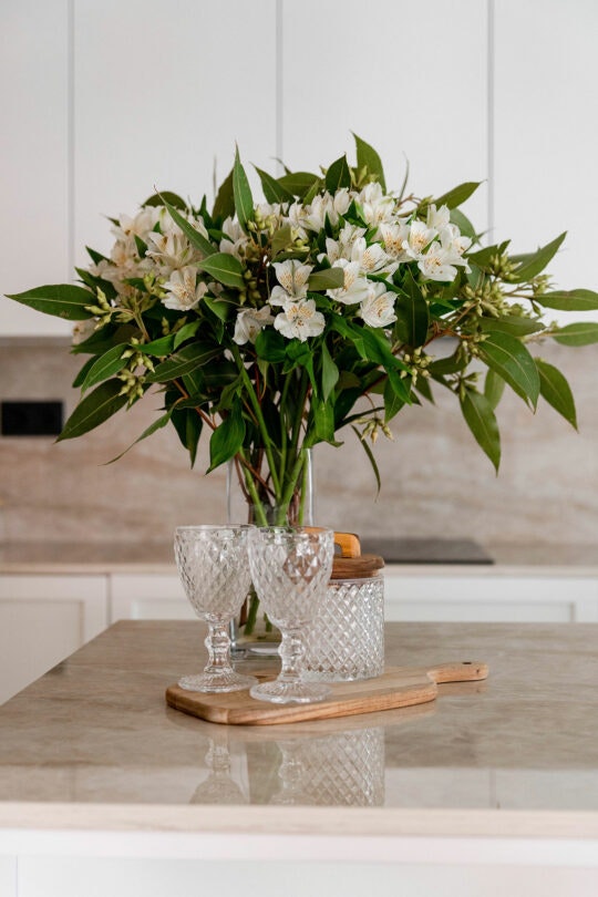 Monica-Diago-15 Monica-Diago-15