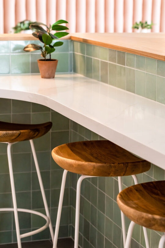 Water-Oak-6 Water-Oak-6