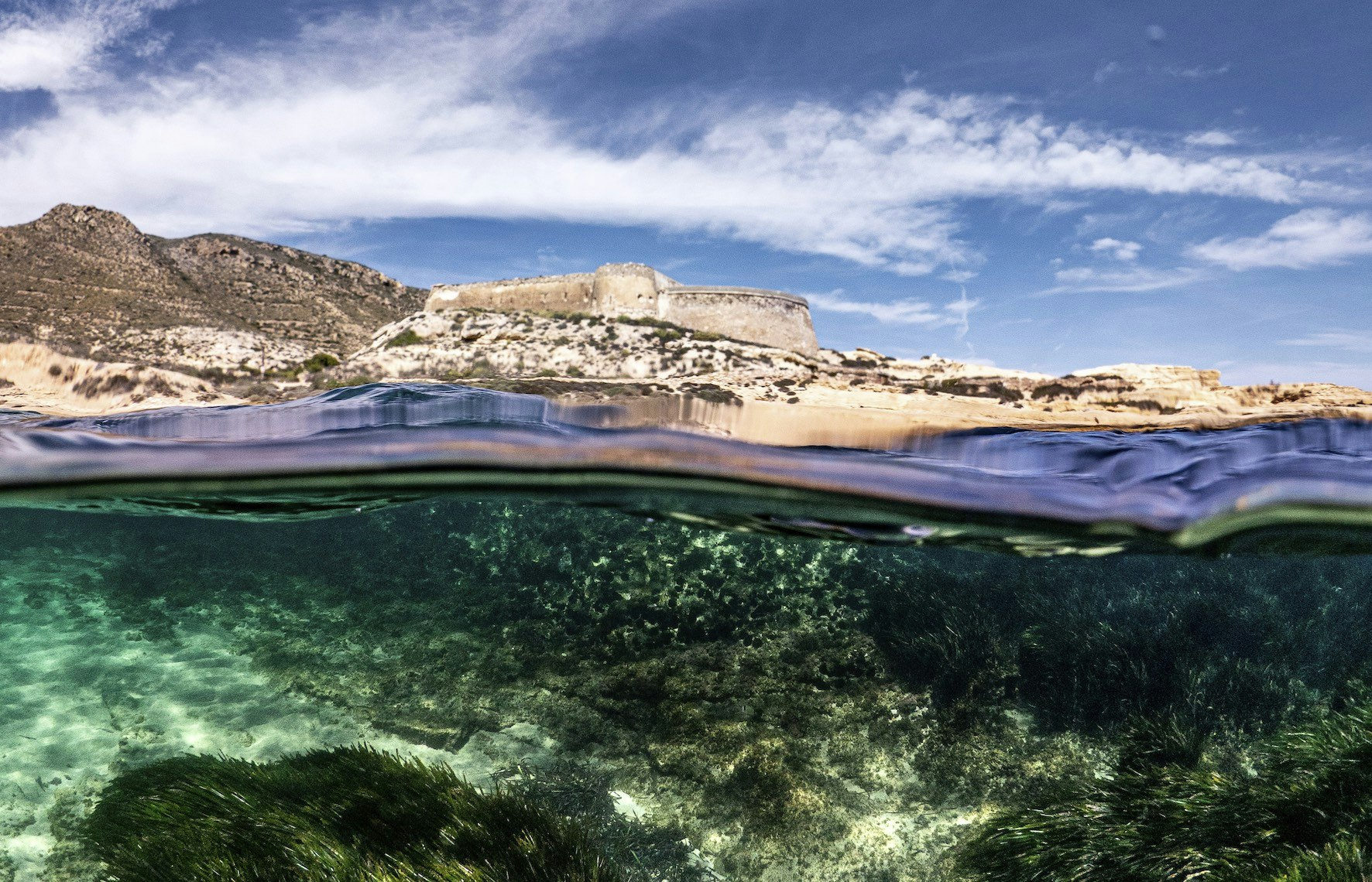 Cosentino joins Biodiversity Statement