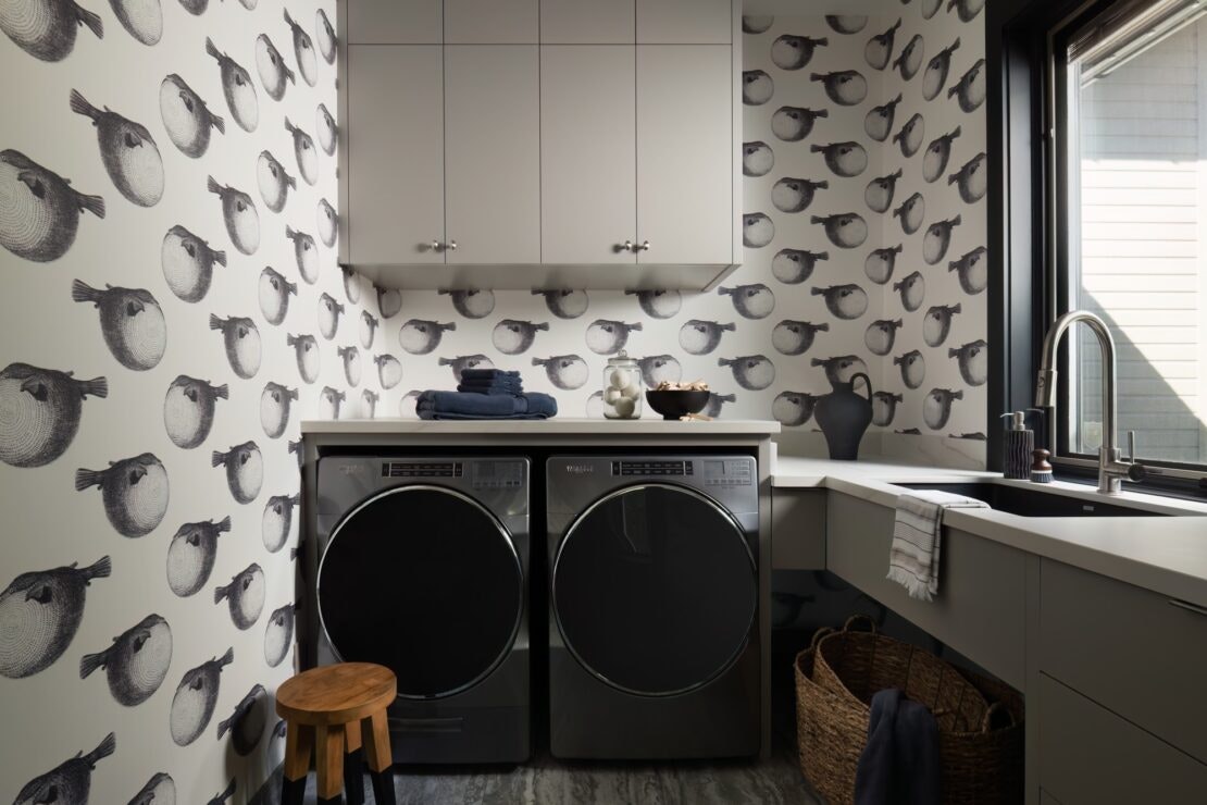 Kollutchen (1) Kollutchen (1)