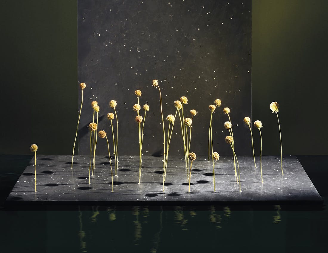 Trend_Report_Natura Image 35 of Trend Report Natura.jpg?auto=format%2Ccompress&fit=crop&ixlib=php 3.3 in These are the 5 color palettes that will set trends in the coming years among designers - Cosentino