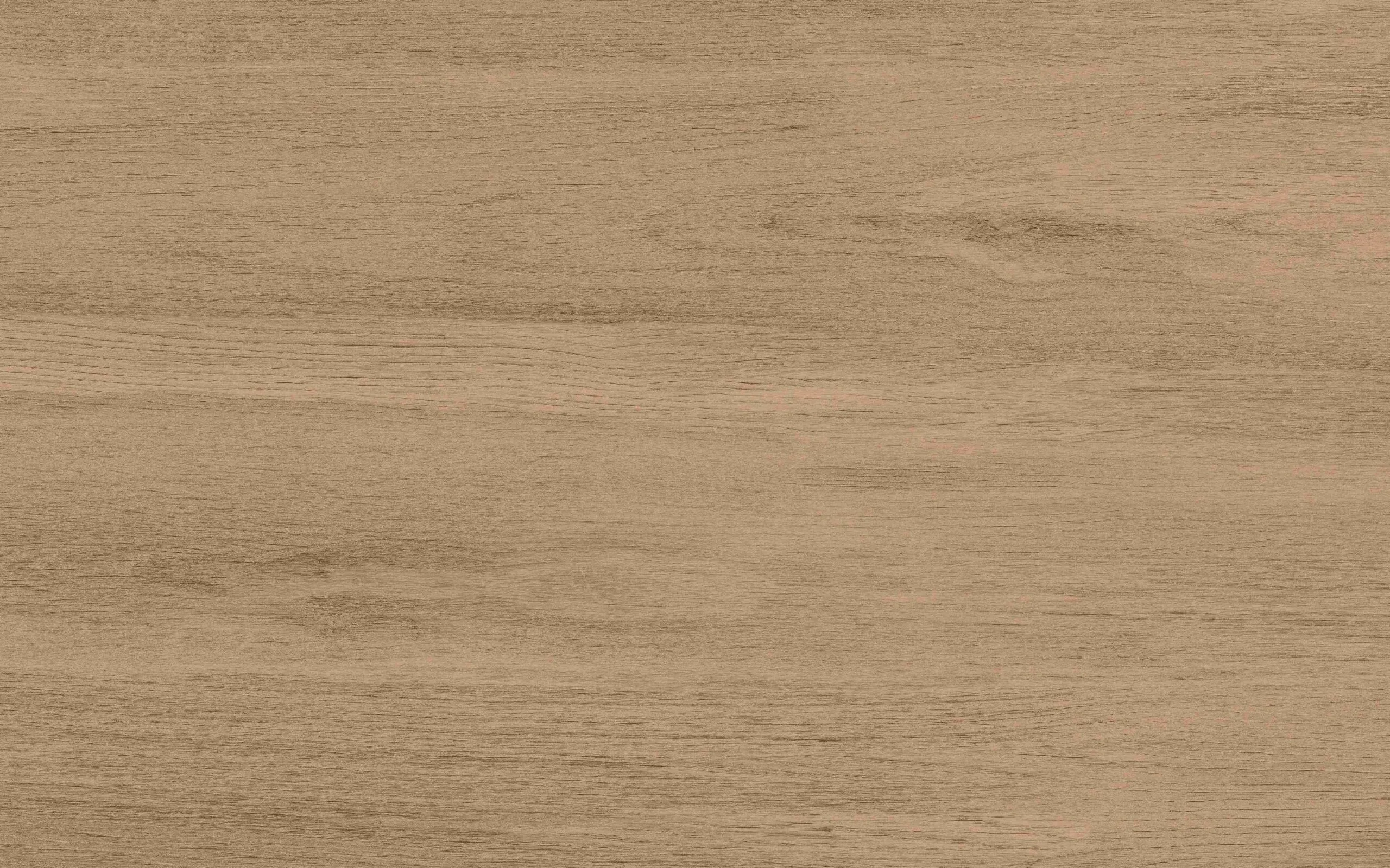 Kedar - Detalle ST v3 (1)_11zon