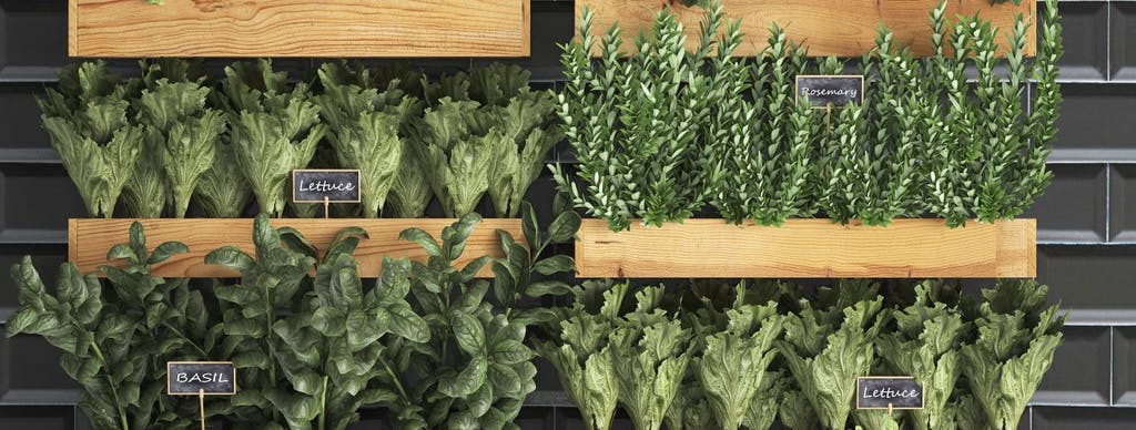 A vertical garden in the kitchen - Cosentino cocina.huerto. | Cosentino