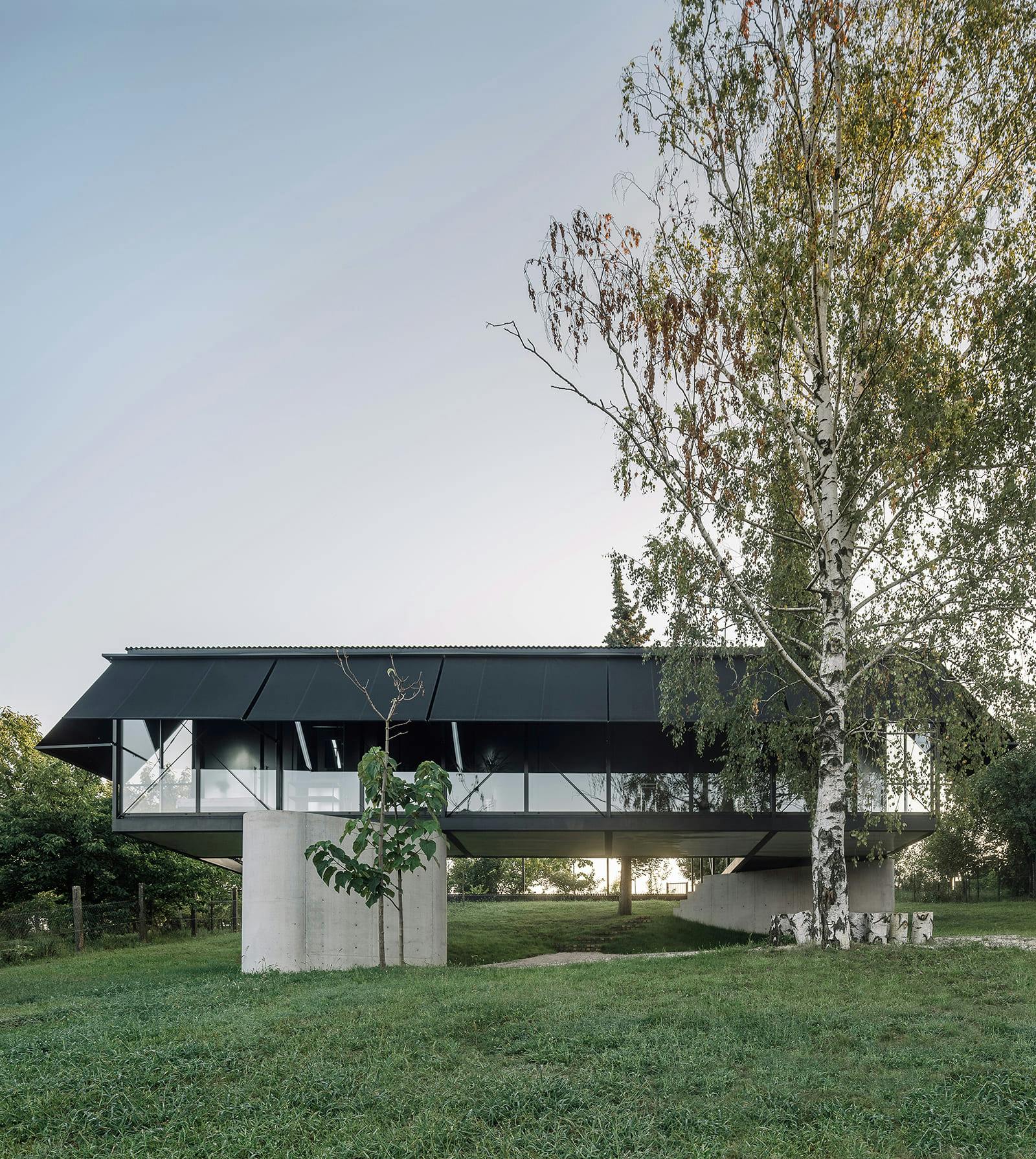 00-Milos-Martinovic loading=