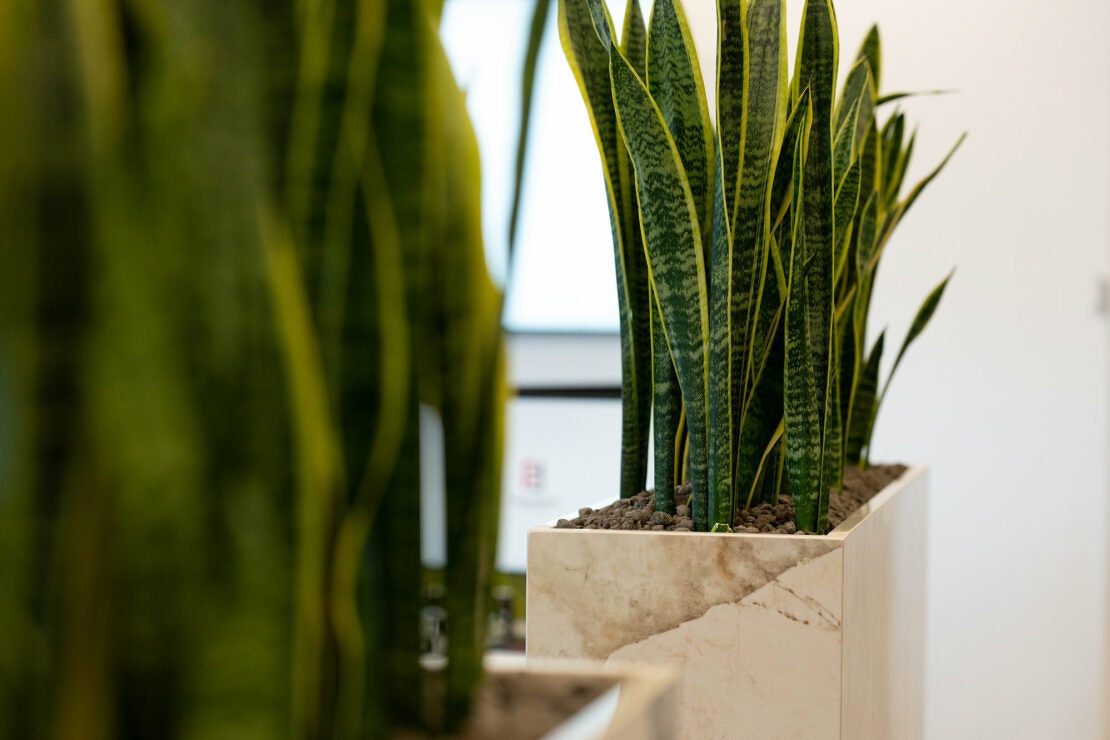 Ferrara-Stone-Headquarter Ferrara-Stone-Headquarter