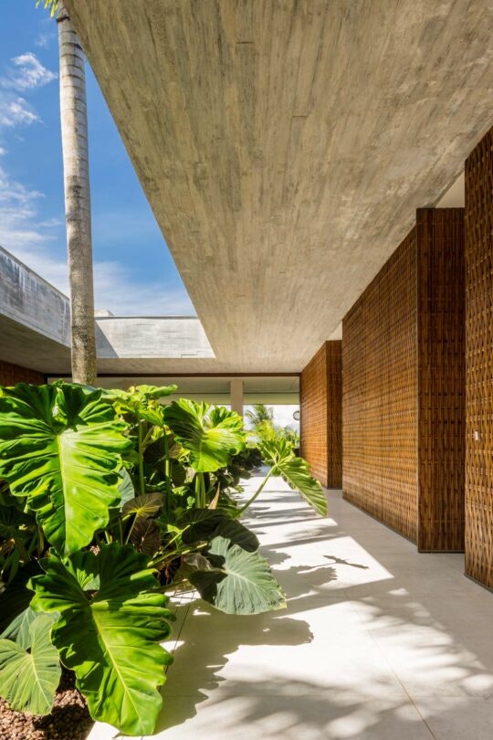 Itcare-BA-22 Itcare-BA-22