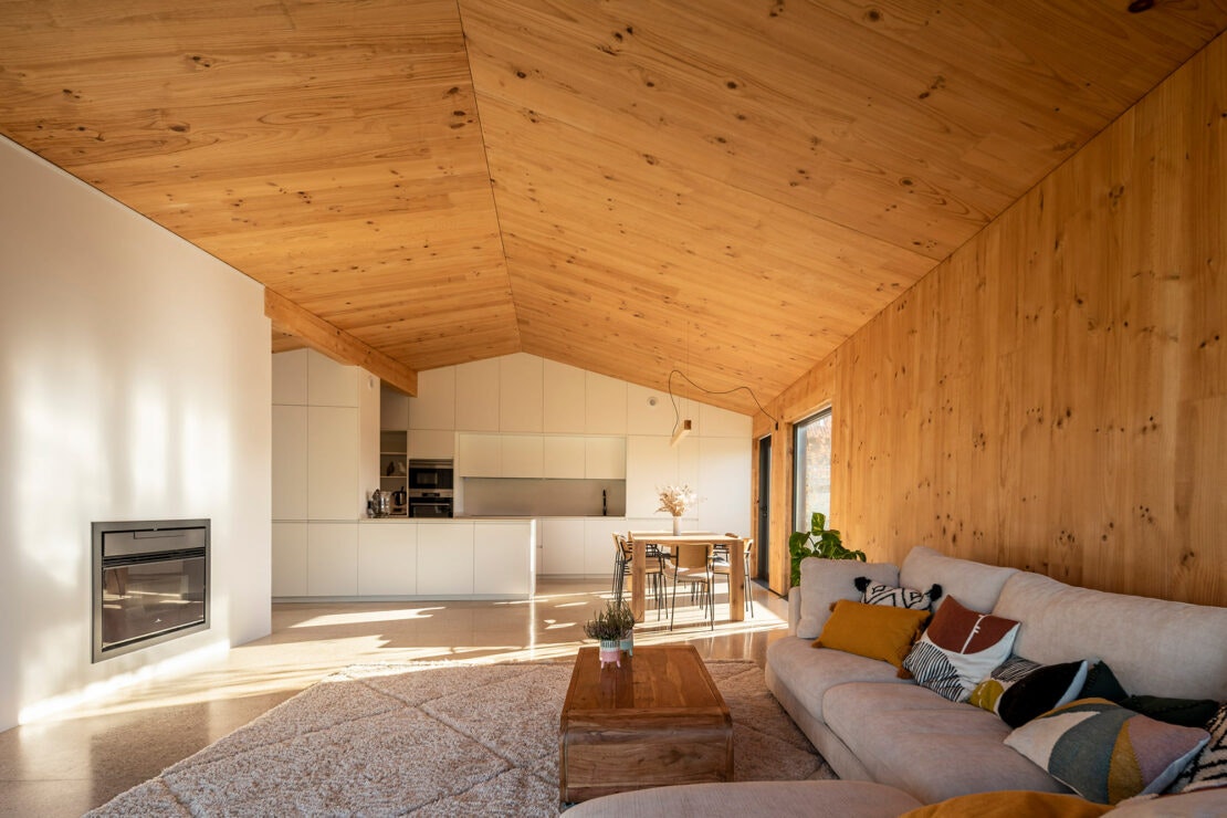 zp_montalvo-(22) zp_montalvo-(22)