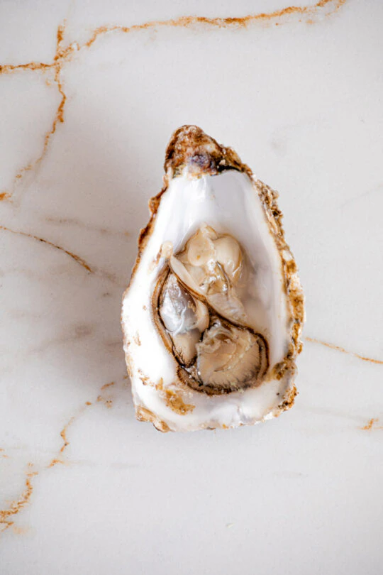 Italian-house-8 Italian-house-8