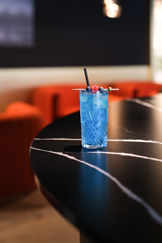 Villa-Castellane-Marion-Butet-15 Villa-Castellane-Marion-Butet-15