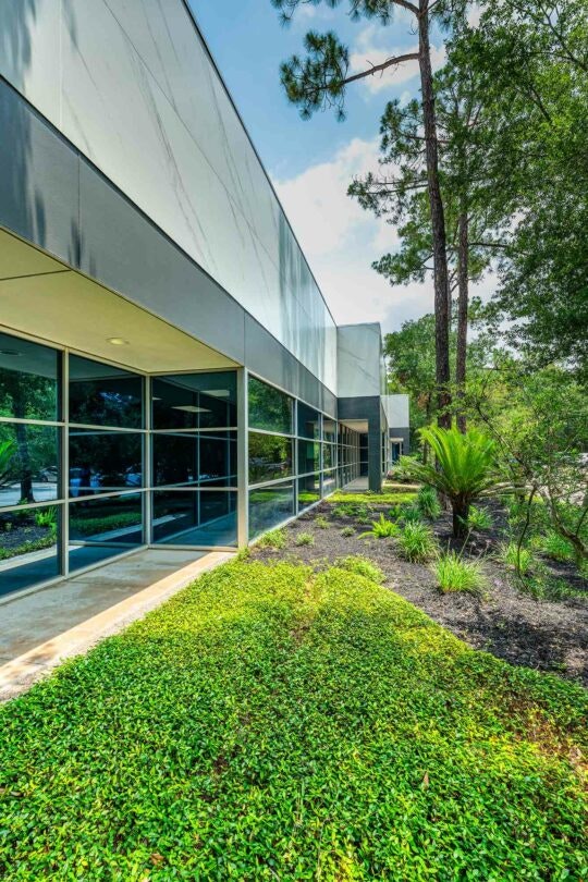 Research-Forest-3 Research-Forest-3