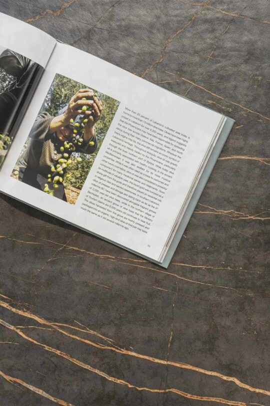 Residential-Villa-Facade-Austria-14 Residential-Villa-Facade-Austria-14