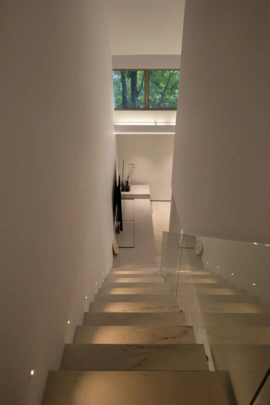 Ovo-Design-1 Ovo-Design-1