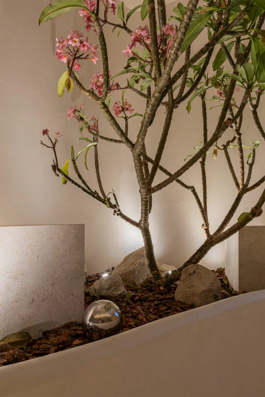 casacor-creara-Portal---Bossa-arquitetura-5 casacor-creara-Portal---Bossa-arquitetura-5