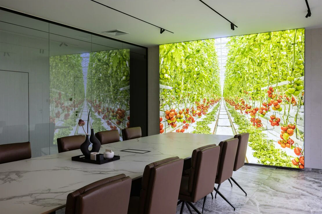 683A2257--Sqala-Design-MUFKA-FOTOGRAFIA-2 683A2257--Sqala-Design-MUFKA-FOTOGRAFIA-2